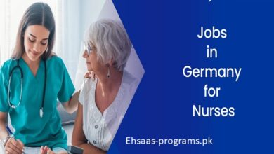 Nursing Jobs in Germany 2024 Apply Online - Complete Guide