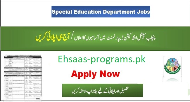 Special Education Department Jobs 2024 Pakistan Apply Online