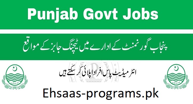 Government Teaching Jobs in Punjab, Pakistan 2024 Apply