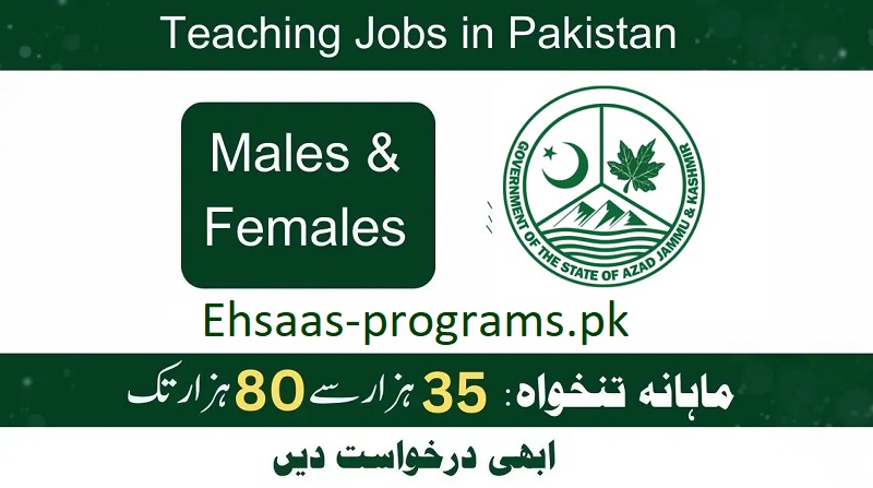 Government Teaching Jobs in Punjab, Pakistan 2024 Apply