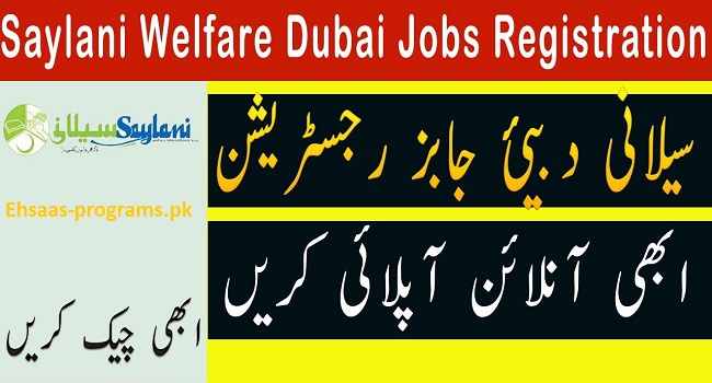 Saylani Welfare Jobs in Karachi, Pakistan 2024 Online Apply