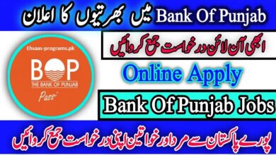 BOP Jobs Online Apply 2024 for Freshers (Bank of Punjab)