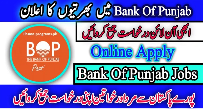 BOP Jobs Online Apply 2024 for Freshers (Bank of Punjab)