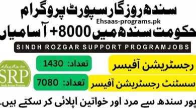 All Sindh Jobs 2024 Latest Advertisement Online Apply in Pakistan