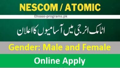NESCOM Jobs 2024 Apply Online for Males & Females in Pakistan