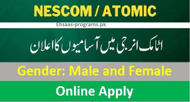 NESCOM Jobs 2024 Apply Online for Males & Females in Pakistan