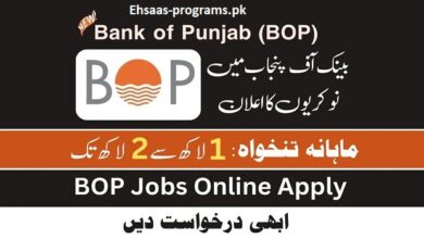 BOP Jobs (Bank Of Punjab) 2024 Apply Online in Pakistan