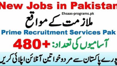 PRSP Jobs (Punjab Rural Support Program) 2024 Apply Online