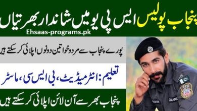 SPU Jobs Punjab Police 2024 Constable Application Form - Apply