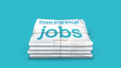 Newspaper Jobs - Paperpk Jobs in Pakistan 2024 Apply Online