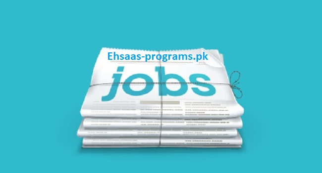 Newspaper Jobs - Paperpk Jobs in Pakistan 2024 Apply Online