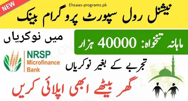 NRSP Jobs (2024) Online Apply from All Over Pakistan