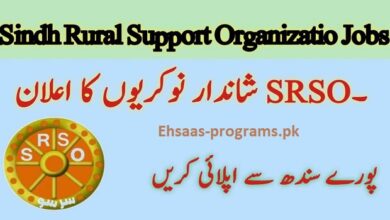 SRSO Jobs (Sindh Rural Support Organization) 2024 Apply Online