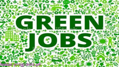 Green Jobs 9 in Pakistan 2024 Latest Advertisement Online Apply