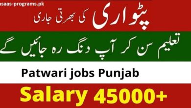 Patwari Jobs in Punjab 2024 Application Form - Apply Online