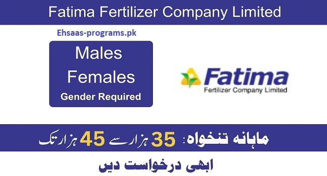 Fatima Fertilizer Jobs 2024 Pakistan Online Apply Latest Vacancies 