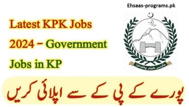 KPK Jobs 2024 Government Jobs in Pakistan Online Apply