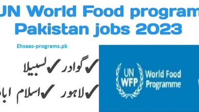 WFP Jobs in Pakistan 2024 Online Apply [Latest] Vacancies