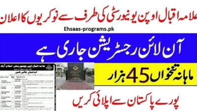 Allama Iqbal Open University Jobs 2024 Online Apply | Last Date