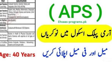 APS Jobs 2024 (Army Public School) in Pakistan Apply Online