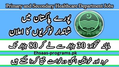 Primary and Secondary Healthcare Department Jobs 2024 Apply