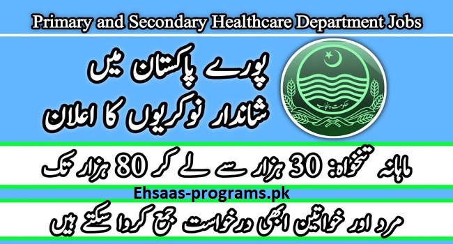 Primary and Secondary Healthcare Department Jobs 2024 Apply