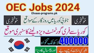 OEC Jobs 2024 Online Apply Registration in Pakistan