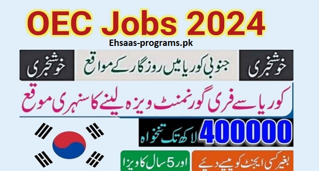 OEC Jobs 2024 Online Apply Registration in Pakistan