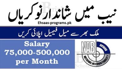 NAB Jobs 2024 (National Accountability Bureau) Application Form