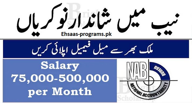 NAB Jobs 2024 (National Accountability Bureau) Application Form 