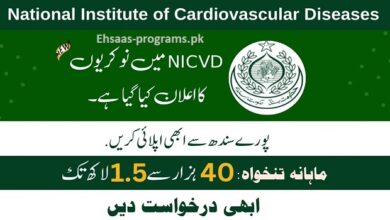 NICVD Jobs (2024) in Pakistan | 200+ Vacancies - Apply Now