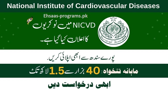 NICVD Jobs (2024) in Pakistan | 200+ Vacancies - Apply Now 