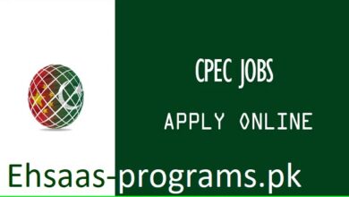 CPEC Pakistan Jobs (China-Pakistan Economic Corridor) Apply