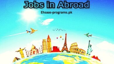 Overseas Jobs in Pakistan 2024 Online Apply [Latest Jobs]