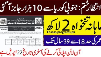 Jobs OEC Gov PK 2024 Online Apply from All Over Pakistan