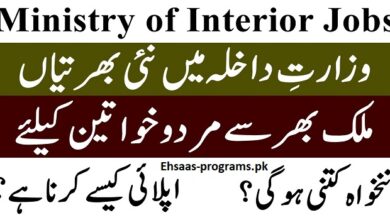 Ministry of Interior Jobs 2024 Latest Advertisement - Online Apply