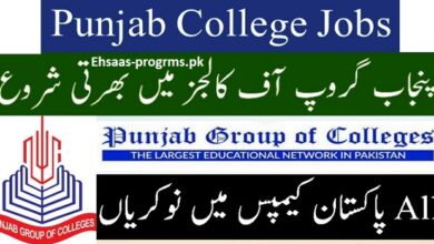 Punjab College Jobs 2024 Apply Online in Pakistan