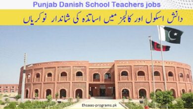 Danish School Jobs 2024 For Teaching Staff in Pakistan - Apply