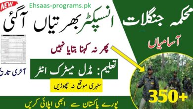 Forest Department Jobs (2024) in Pakistan Online Apply