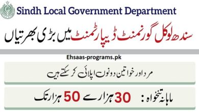 Sindh Government Jobs (Karachi, Sukkur, Hyderabad) 2024 Apply