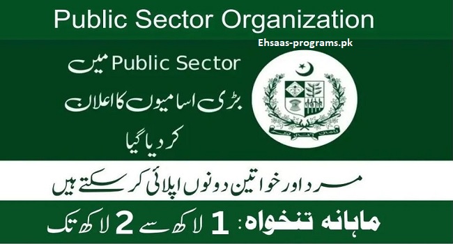 Public Sector Organization Jobs 2024 Pakistan Apply Online