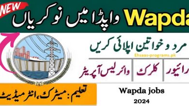 Wapda Jobs Online Apply 2024 Advertisement Application Form