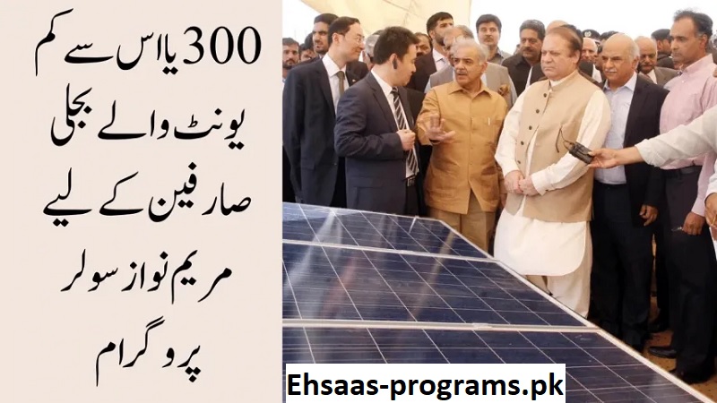 CM Punjab Solar Panel Scheme 2024 - A Complete Guide 