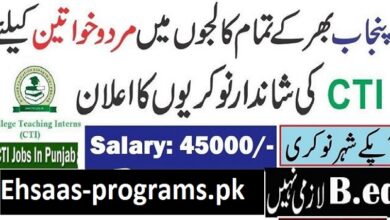 CTI Jobs (College Teaching Interns) 2024 Advertisement - Apply