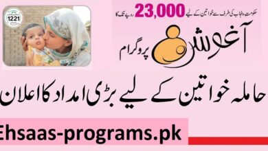 Ehsaas Aghosh Program for Pregnant 23000 Registration Method