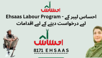 How to Register Ehsaas Labour Program - Online Registration 2025