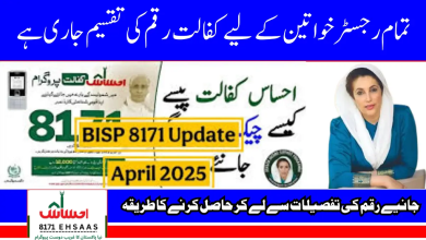 BISP 8171 Portal Payment Updates 2025 for Registered Women