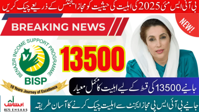 Check BISP 8171 May 2025 Eligibility Status Through Authorized BISP Agents