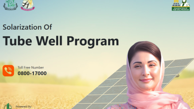 CM Solarization Program for Agri Tubewells: Subsidy and Application Guide
