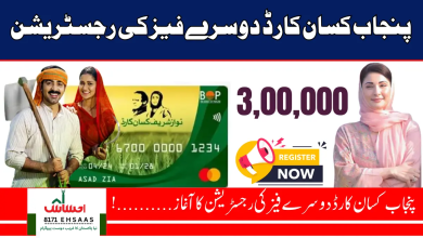 Punjab Kissan Card 2nd Phase 2025 – Apply Online, Benefits, Eligibility